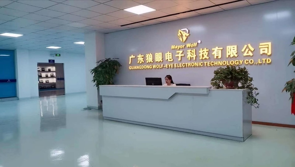 Mayor Wolf's Production and Development Team in China