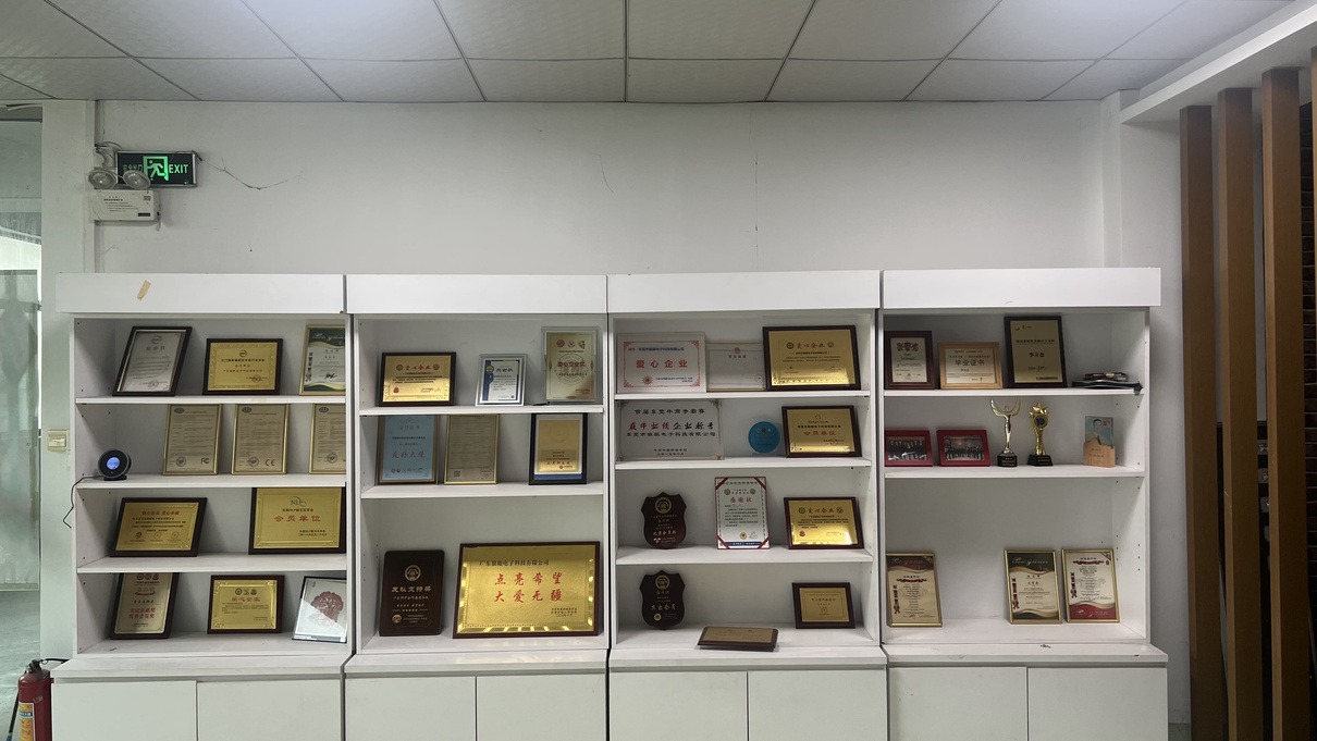 Mayor Wolf's Production and Development Team in China