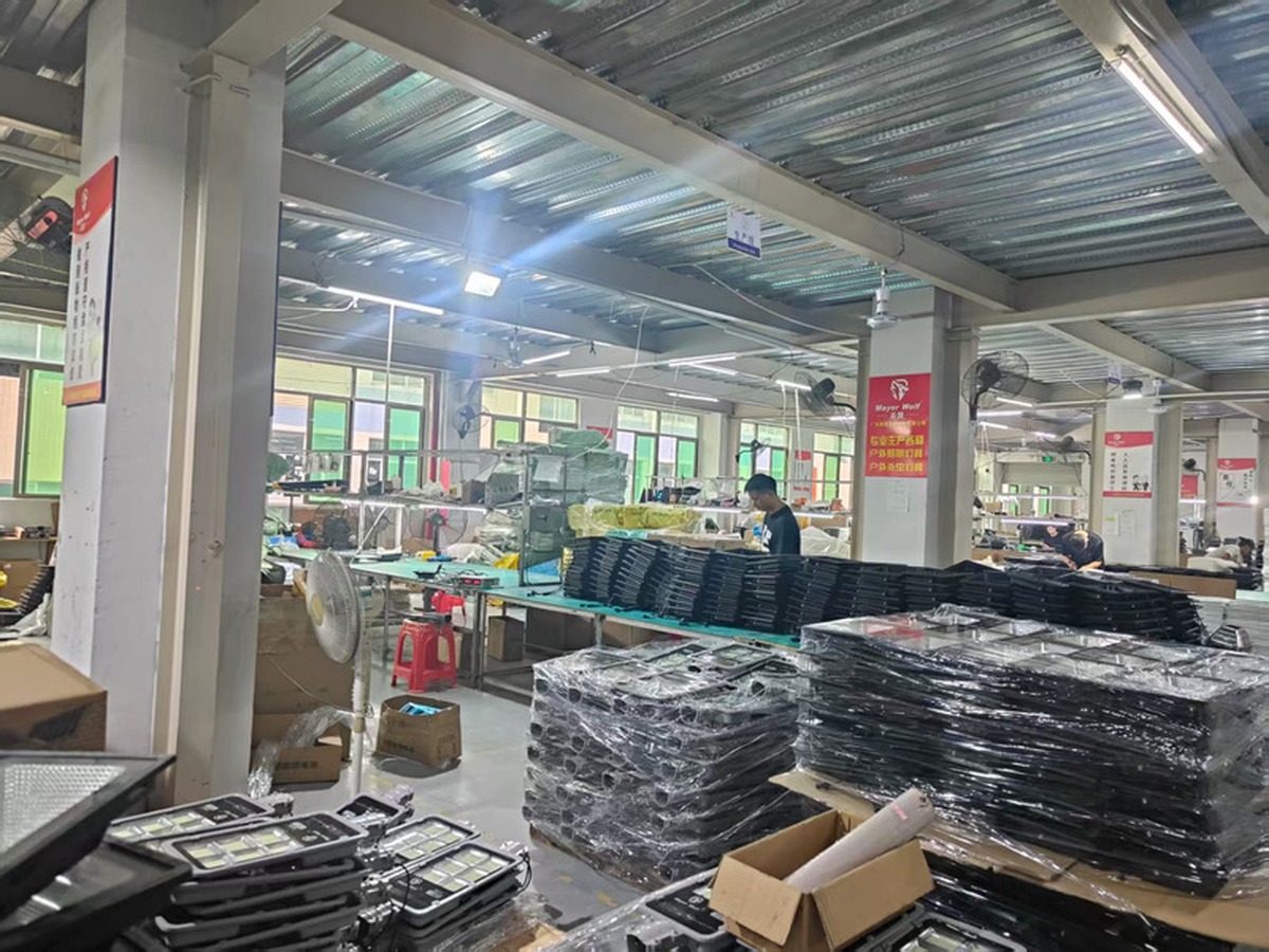 Mayor Wolf's Production and Development Team in China