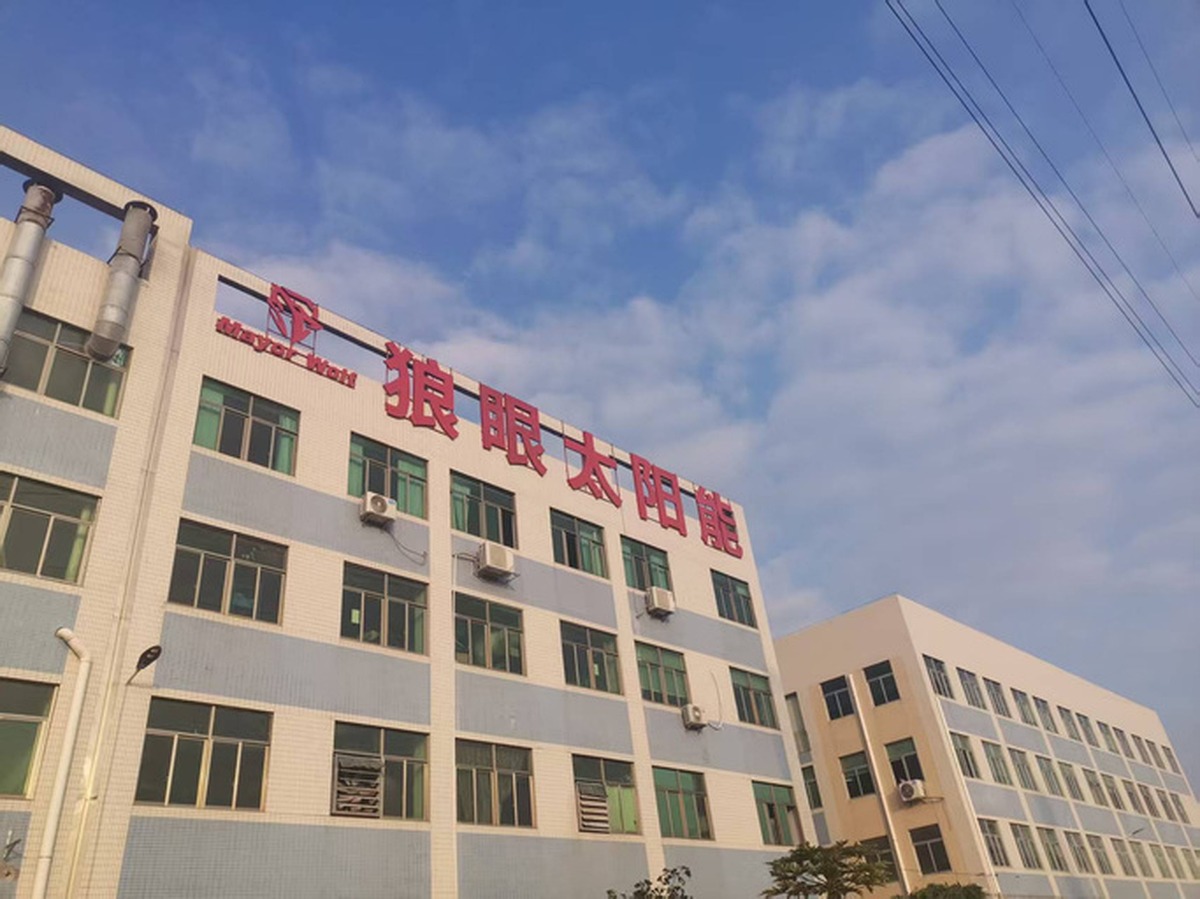 Mayor Wolf's Production and Development Team in China