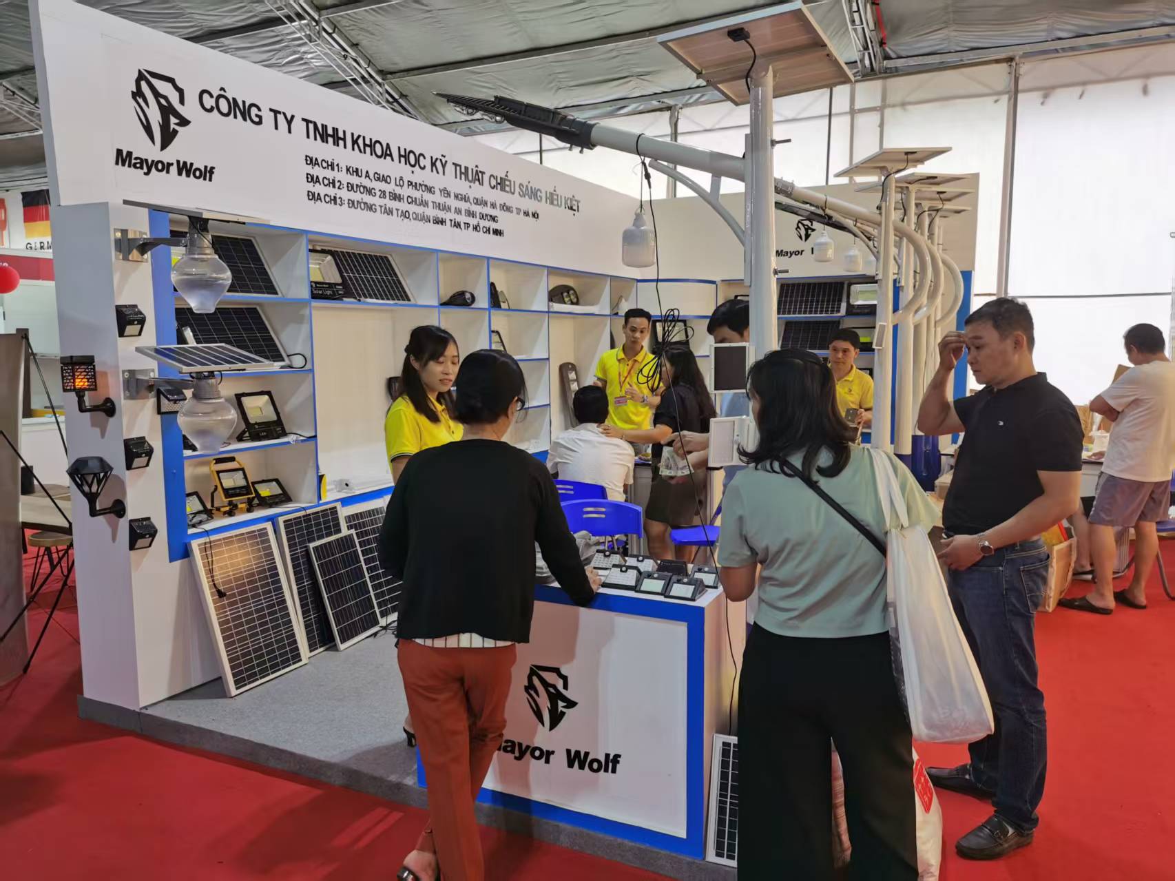 Activities of Mayor Wolf’s company with his team and project partners