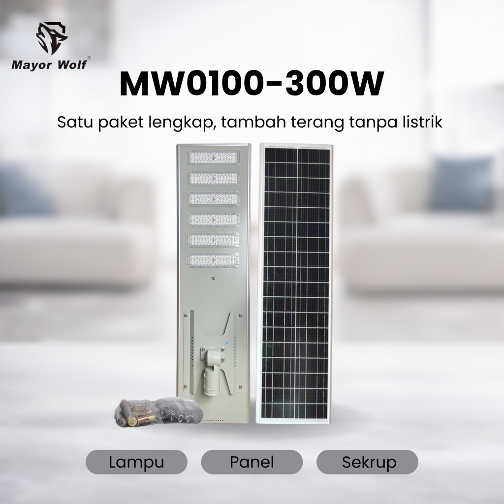 MW0100-300W