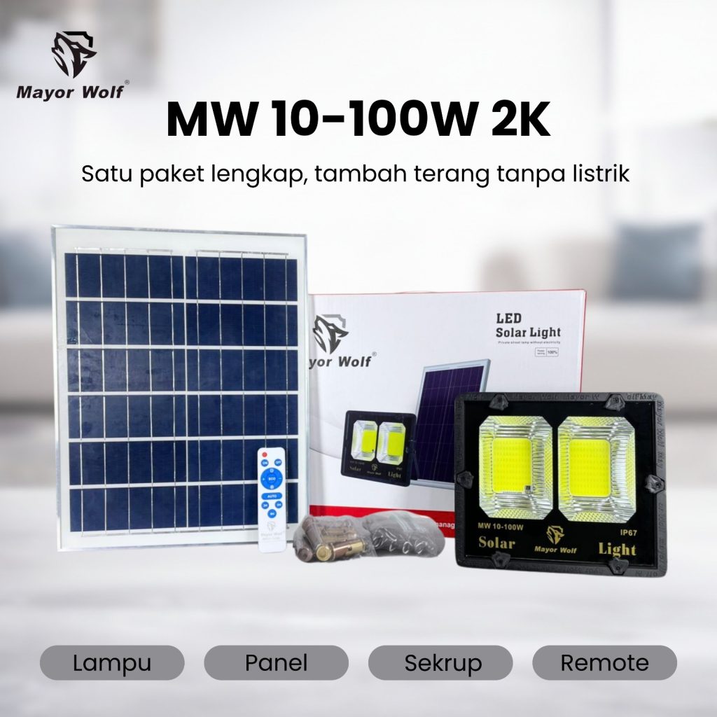 MW10-100W 2K