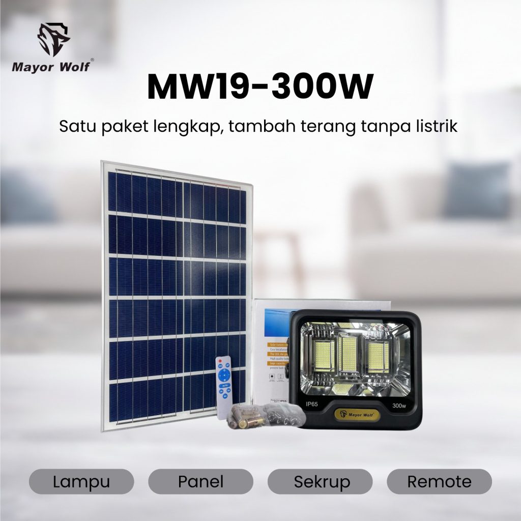 MW19-300W