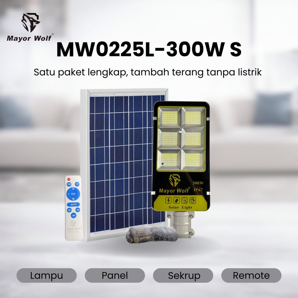 MW0225L-300W S