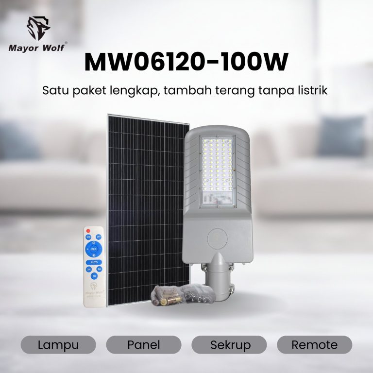 MW06120-100W