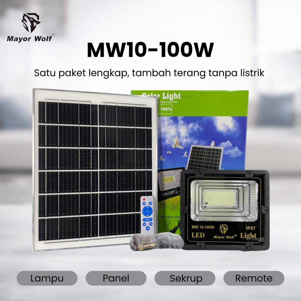 MW10-100W