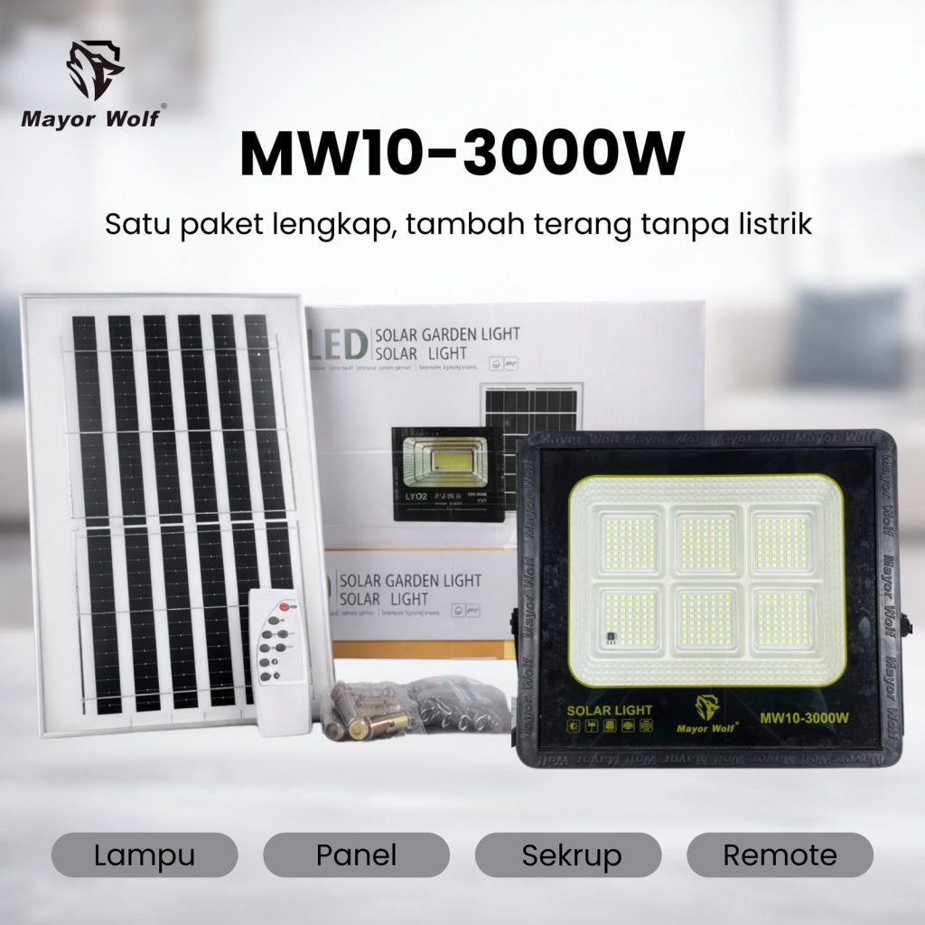 MW10-3000W