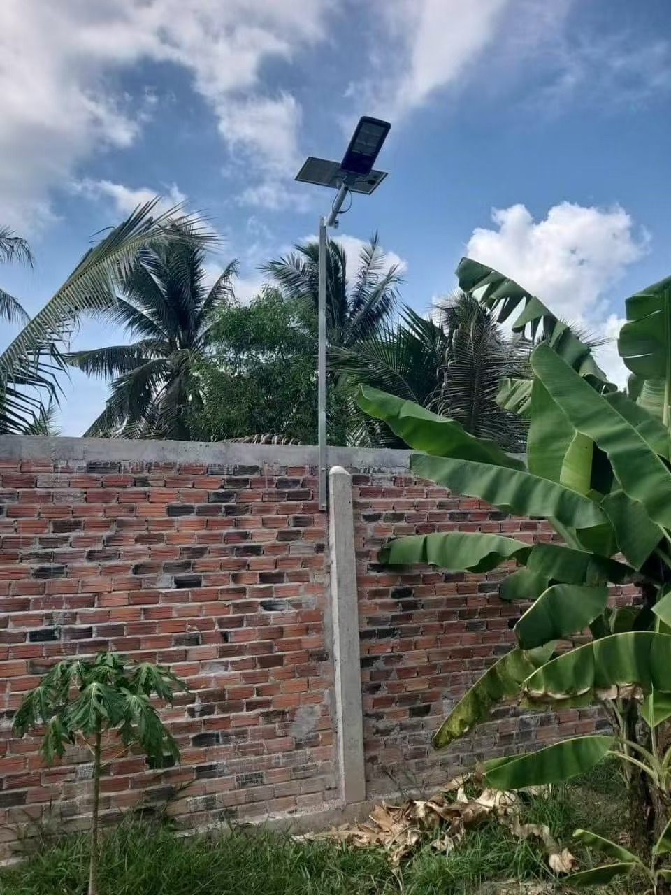 Lampu tenaga surya Mayor Wolf di area batas lahan