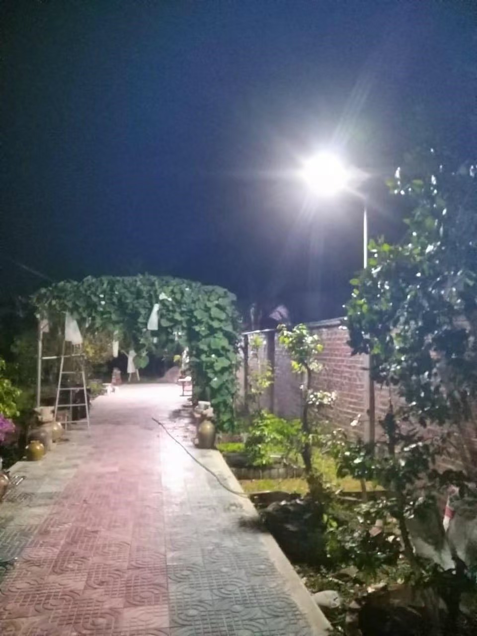 Lampu tenaga surya Mayor Wolf untuk jalur taman dan pejalan kaki
