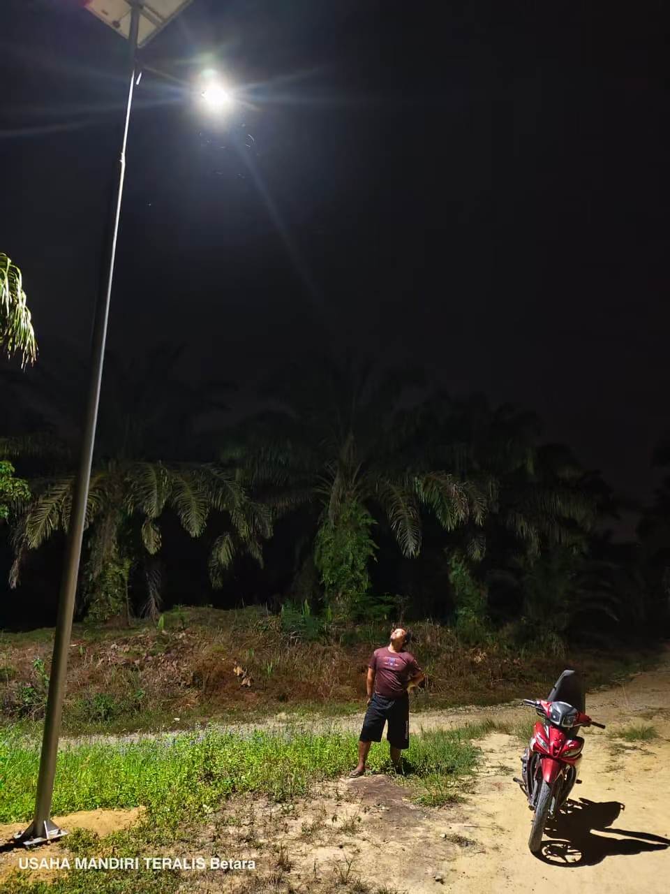 Lampu tenaga surya Mayor Wolf untuk area kebun dan akses